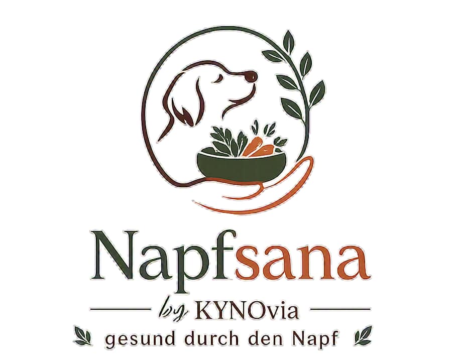 NAPFsana Logo
